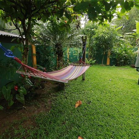 Mary'S Palm Garden Hotel Hikkaduwa Exterior photo